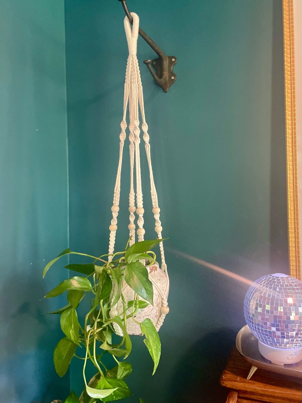 Macramé Hanging Plant Holder